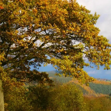 Seneric Chalet, Trois-Ponts