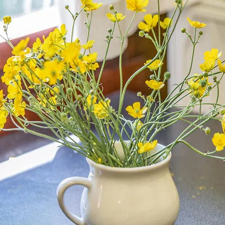 Seneric Chalet, Chalet *